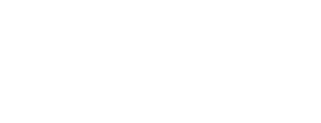 BNI (1)