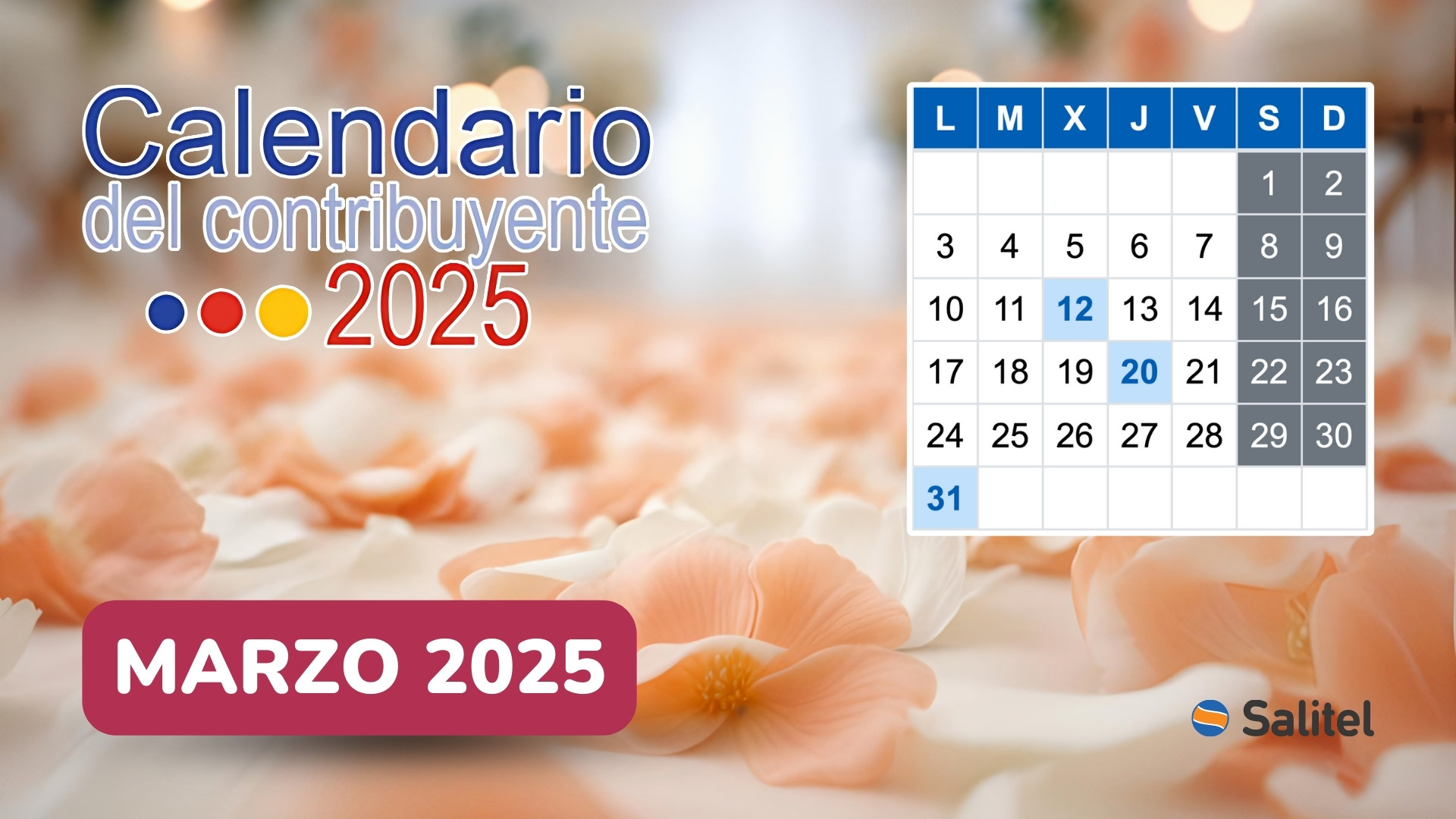 calendario-del-contribuyente-marzo-2025-salitel