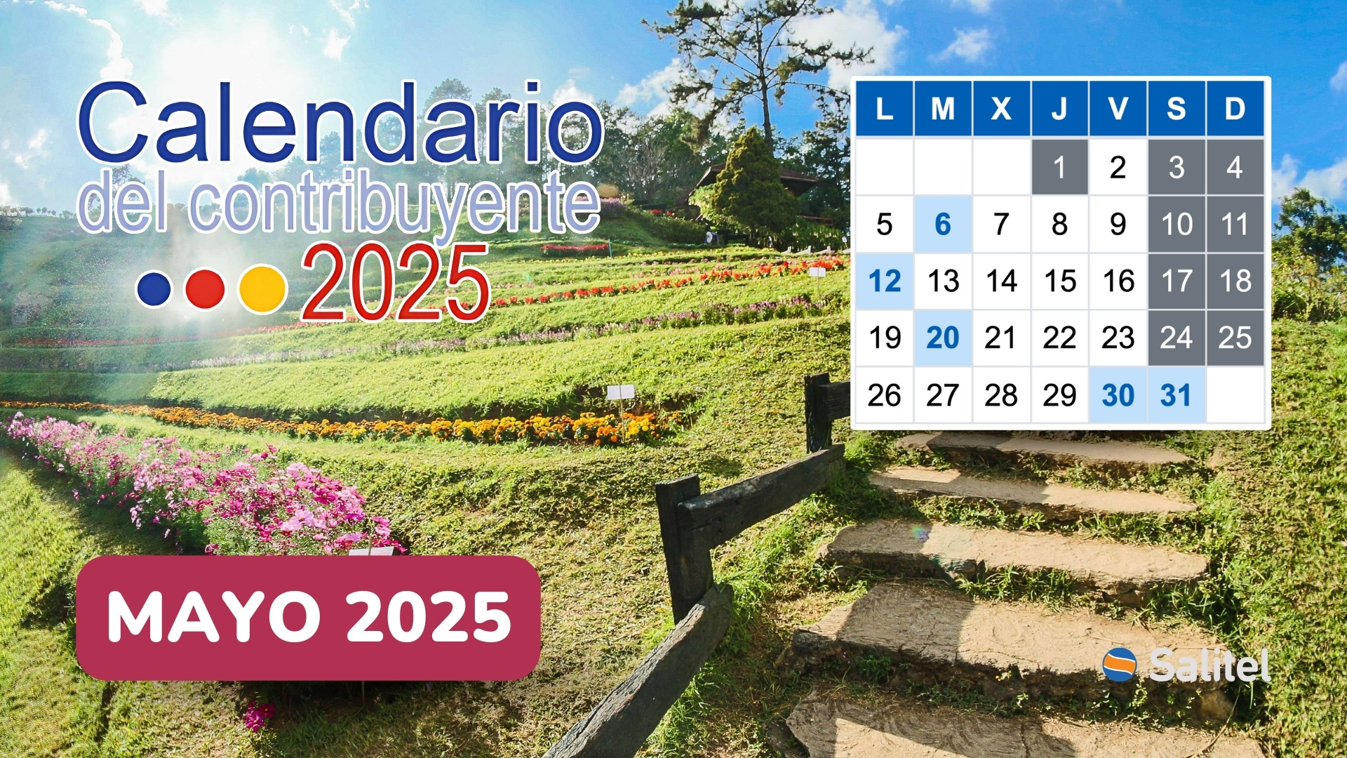 calendario-del-contribuyente-mayo-2025-salitel